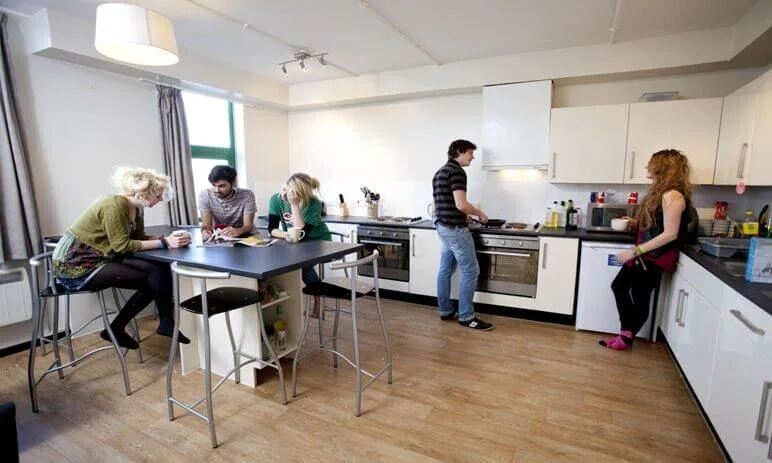 Students cooking and chatting at a shared kitchen in their student accomodation.